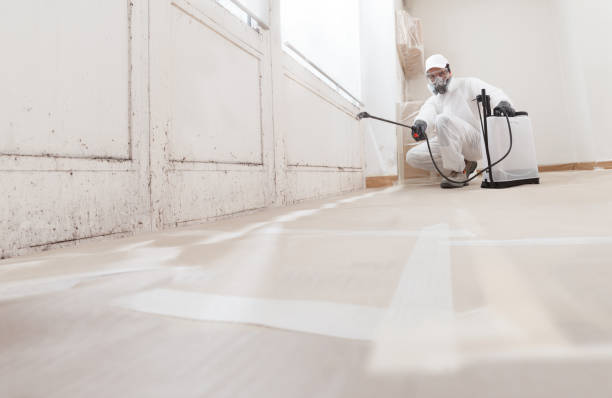 24/7 Emergency Mold Remediation experts in Chalfont, PA