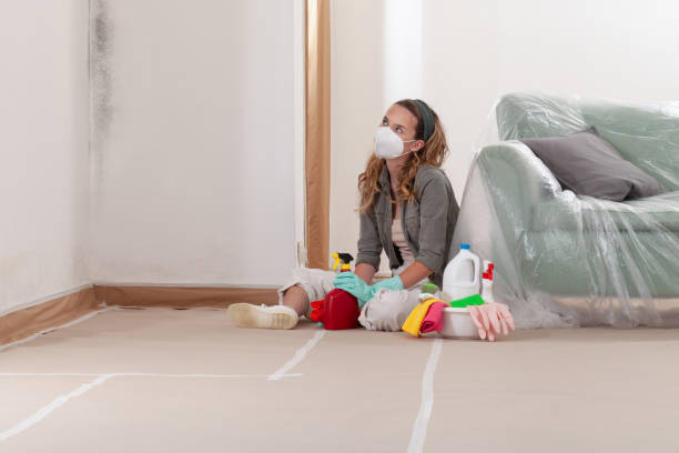 Reliable Mold Remediation contractor in Chalfont, PA by Mold Remediation HQ